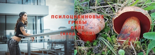 прущие крисы Алзамай